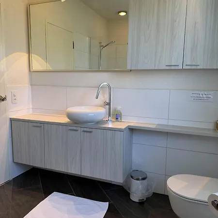 Casa Ermenegilda, 4,5-zimmerhaus By Holap Sa * Ascona